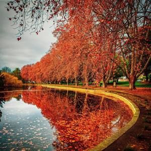 Meet your Posher, Audra